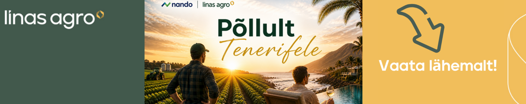 pollult-tenerifele